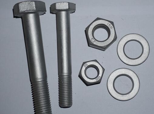 �_���_�Ǳ���̎���ĸ��¼��g